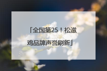 全国第25！松滋鸡品牌声誉刷新