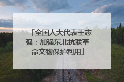 全国人大代表王志强：加强东北抗联革命文物保护利用