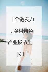 全链发力，乡村特色产业拔节生长