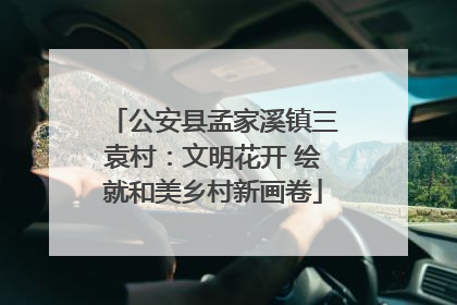 公安县孟家溪镇三袁村：文明花开 绘就和美乡村新画卷