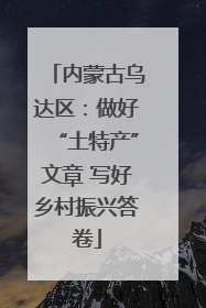 内蒙古乌达区：做好“土特产”文章 写好乡村振兴答卷
