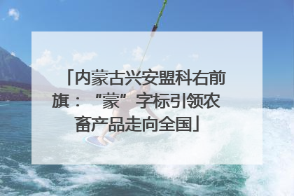内蒙古兴安盟科右前旗：“蒙”字标引领农畜产品走向全国
