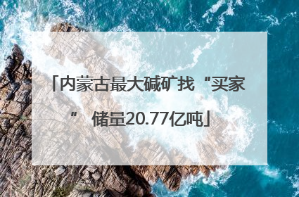 内蒙古最大碱矿找“买家” 储量20.77亿吨