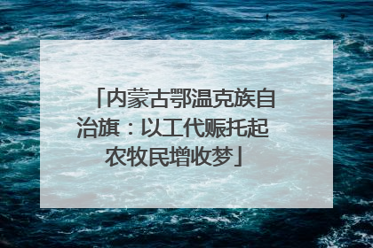 内蒙古鄂温克族自治旗：以工代赈托起农牧民增收梦