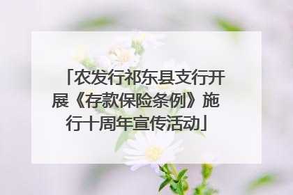 农发行祁东县支行开展《存款保险条例》施行十周年宣传活动