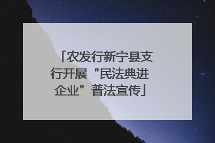 农发行新宁县支行开展“民法典进企业”普法宣传
