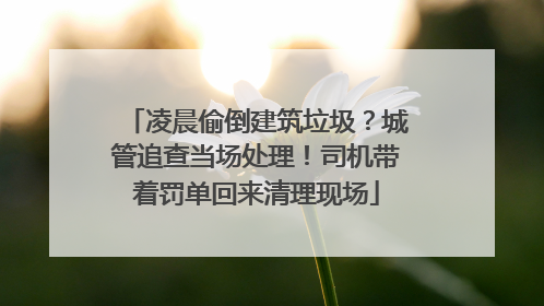 凌晨偷倒建筑垃圾？城管追查当场处理！司机带着罚单回来清理现场