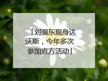 刘强东现身达沃斯，今年多次参加官方活动