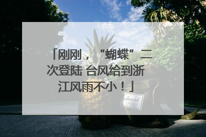 刚刚，“蝴蝶”二次登陆 台风给到浙江风雨不小！