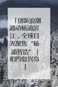 创新浪潮涌动杨浦滨江，全球目光聚焦“杨浦智造”｜相约复兴岛