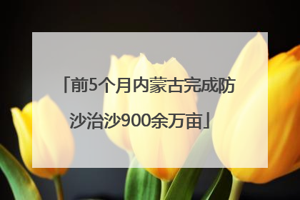 前5个月内蒙古完成防沙治沙900余万亩