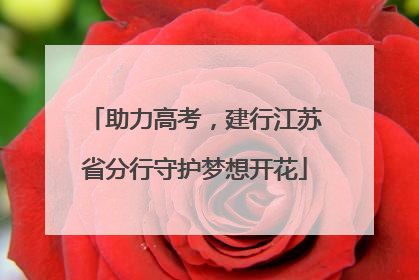 助力高考，建行江苏省分行守护梦想开花