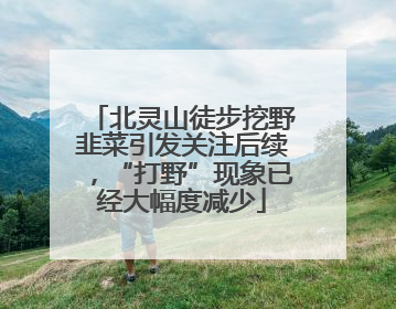 北灵山徒步挖野韭菜引发关注后续，“打野”现象已经大幅度减少