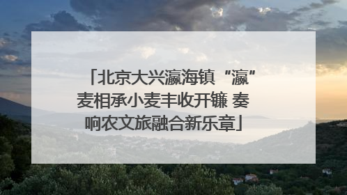 北京大兴瀛海镇“瀛”麦相承小麦丰收开镰 奏响农文旅融合新乐章