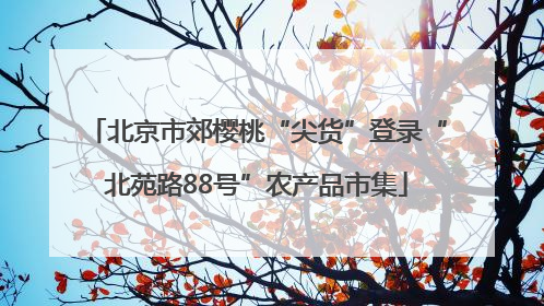 北京市郊樱桃“尖货”登录“北苑路88号”农产品市集