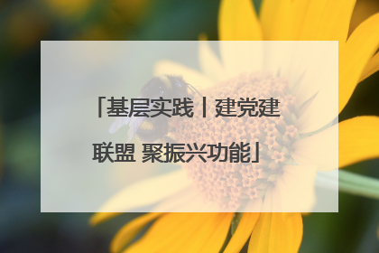 基层实践丨建党建联盟 聚振兴功能