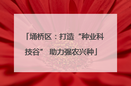 埇桥区：打造“种业科技谷” 助力强农兴种