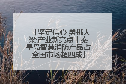 坚定信心 勇挑大梁·产业新亮点丨秦皇岛智慧消防产品占全国市场超四成
