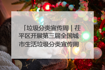 垃圾分类宣传周｜茌平区开展第三届全国城市生活垃圾分类宣传周系列活动之垃圾分类基层专题培训活动