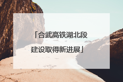 合武高铁湖北段建设取得新进展