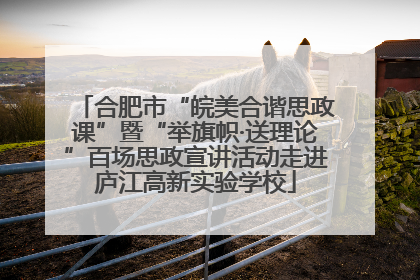 合肥市“皖美合谐思政课”暨“举旗帜·送理论”百场思政宣讲活动走进庐江高新实验学校
