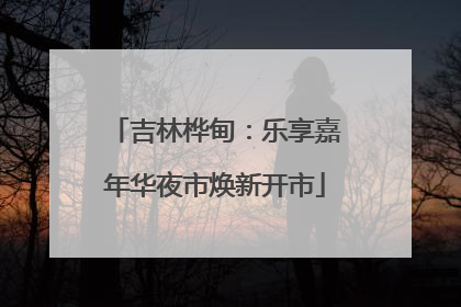吉林桦甸：乐享嘉年华夜市焕新开市