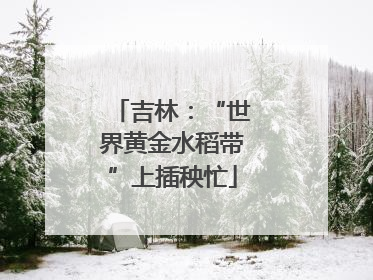 吉林：“世界黄金水稻带”上插秧忙