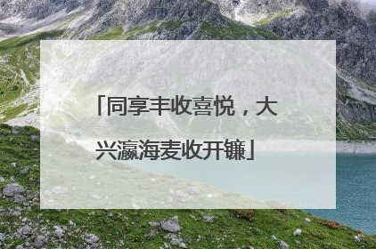 同享丰收喜悦，大兴瀛海麦收开镰