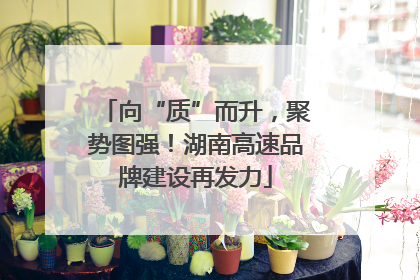 向“质”而升，聚势图强！湖南高速品牌建设再发力