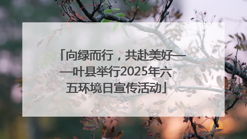 向绿而行，共赴美好——叶县举行2025年六五环境日宣传活动