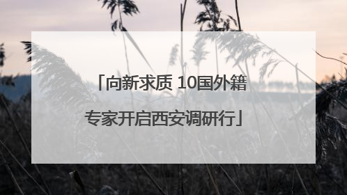 向新求质 10国外籍专家开启西安调研行