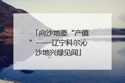 向沙地要“产值”——辽宁科尔沁沙地兴绿见闻