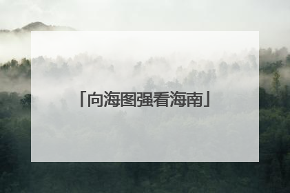 向海图强看海南
