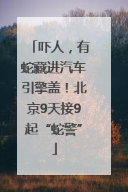 吓人，有蛇藏进汽车引擎盖！北京9天接9起“蛇警”