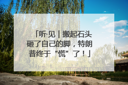 听·见｜搬起石头砸了自己的脚，特朗普终于“慌”了！
