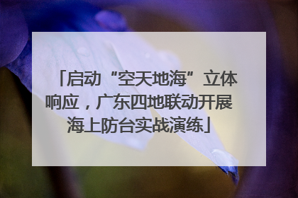 启动“空天地海”立体响应，广东四地联动开展海上防台实战演练