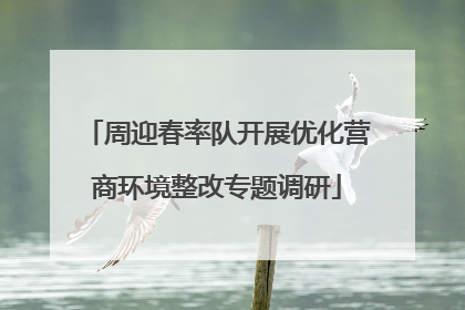 周迎春率队开展优化营商环境整改专题调研