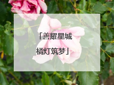 善耀星城 橘灯筑梦