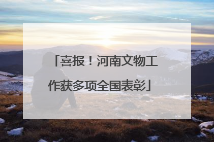 喜报！河南文物工作获多项全国表彰