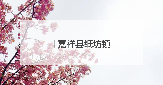嘉祥县纸坊镇开展医保政策宣传进景区活动