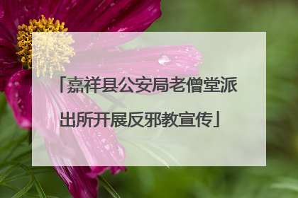 嘉祥县公安局老僧堂派出所开展反邪教宣传