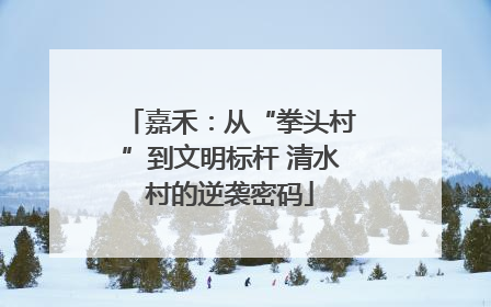 嘉禾：从“拳头村”到文明标杆 清水村的逆袭密码
