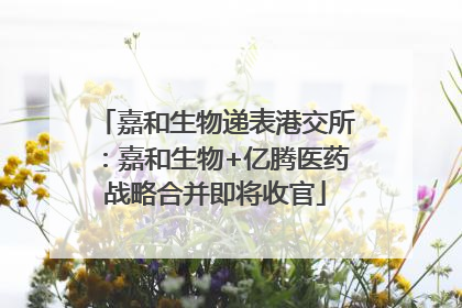 嘉和生物递表港交所：嘉和生物+亿腾医药战略合并即将收官