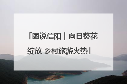 图说信阳｜向日葵花绽放 乡村旅游火热
