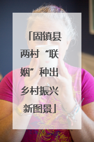 固镇县两村“联姻”种出乡村振兴新图景