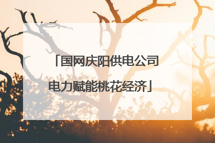 国网庆阳供电公司电力赋能桃花经济