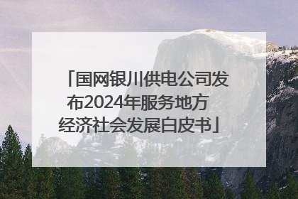国网银川供电公司发布2024年服务地方经济社会发展白皮书