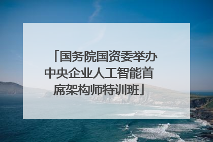 国务院国资委举办中央企业人工智能首席架构师特训班