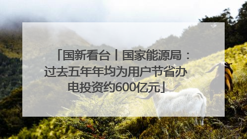 国新看台丨国家能源局：过去五年年均为用户节省办电投资约600亿元