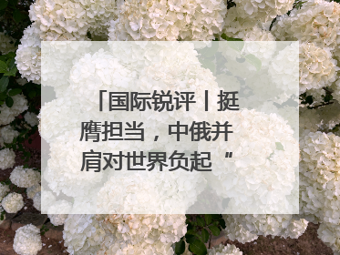 国际锐评丨挺膺担当，中俄并肩对世界负起“特殊责任”